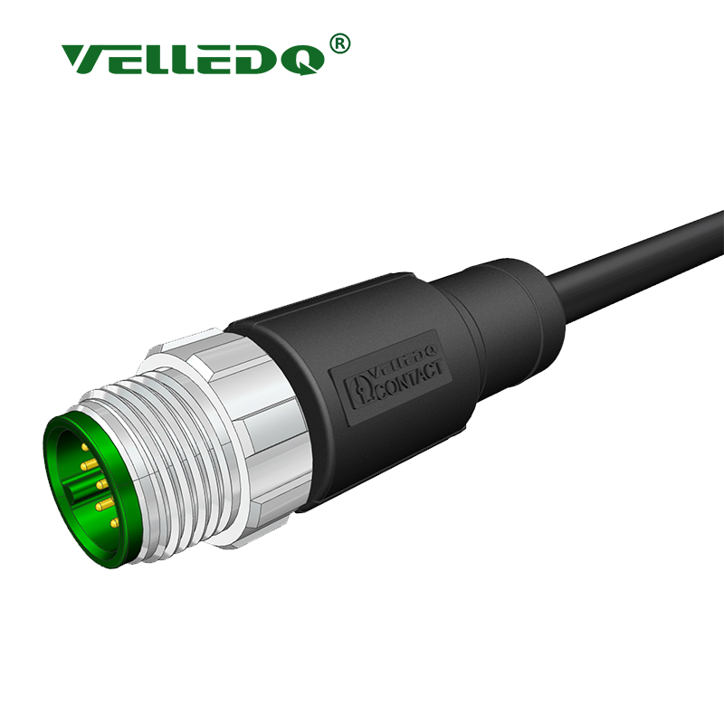 Velledq M12-M12T-5.0PVC/BK M12 12 Pin Erkek Düz 5 Mt. Kablolu Konnektör - Sensör Kablosu